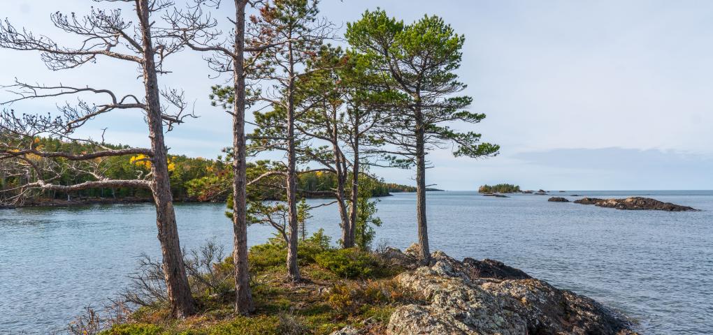 Silver Island in October 2022. Photo: Nathan Miller