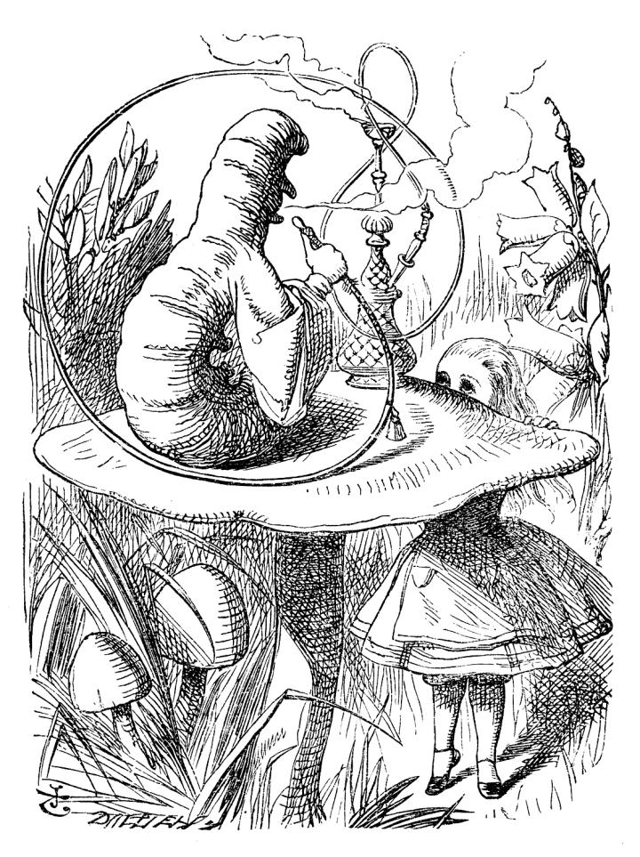 alice in wonderland fungi northwoods 2026
