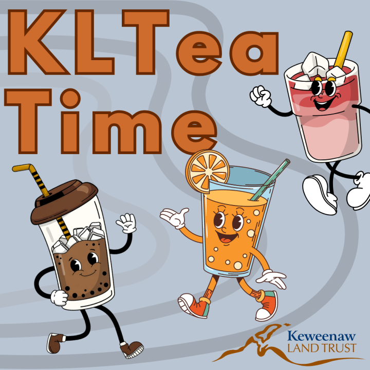 KLTea Time (iced)