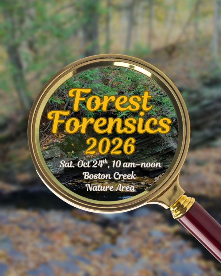 Forest Forensics 2026 hike flyer, with blurred background showing Boston Creek and a magnifying glass with the hike information.