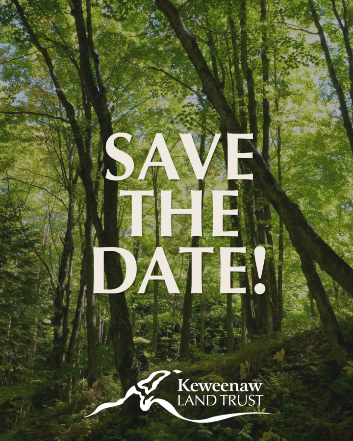 Generic KLT Save the Date graphic featuring a green backlit forest with "save the date" and the KLT logo.
