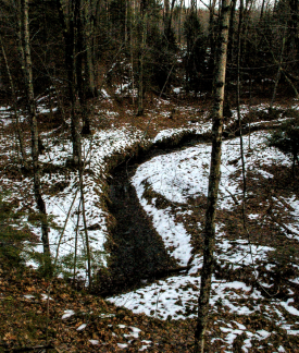 A creek runs through a forest in fall with snow on the forest floor, at Churning Rapids I.