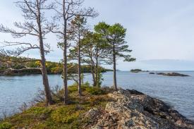 Silver Island in October 2022. Photo: Nathan Miller