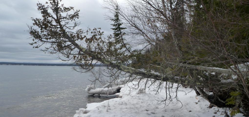 shoreline in winter looking rugged, cold and still beautiful