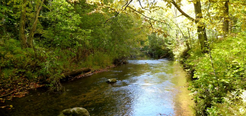 the beautiful Pilgrim river flowing in summer glory