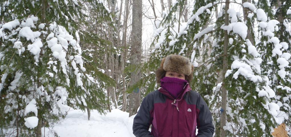 winter hiker among the firs drooping with snow all around