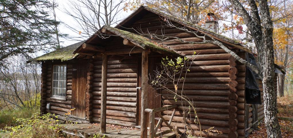 old cabin, and I do mean OLD at princess point