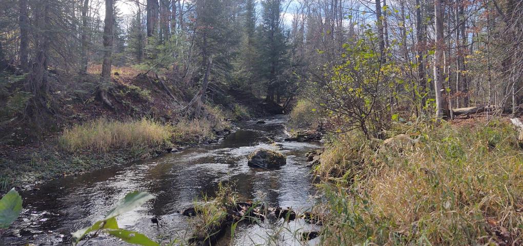 a shot of the pilgrim river taking its time through the woods
