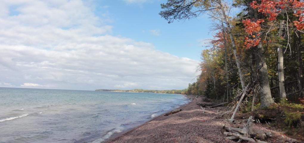 shoreline gorgeous