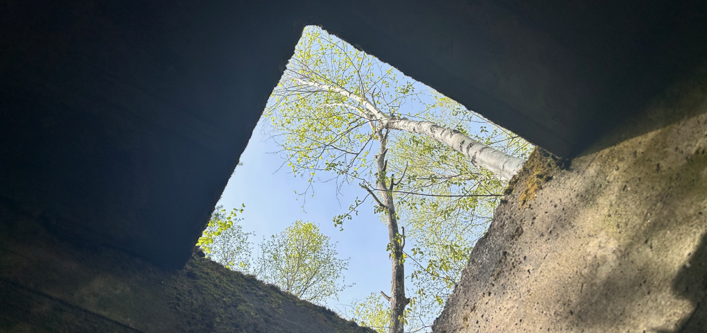 Light shines through a square window in mine ruins