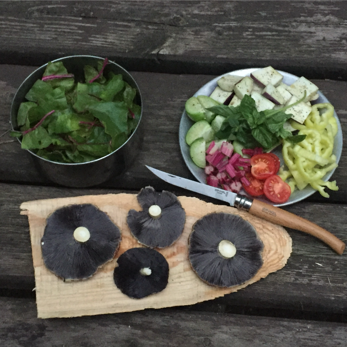 Camp cooking with winecaps Keren Tischler