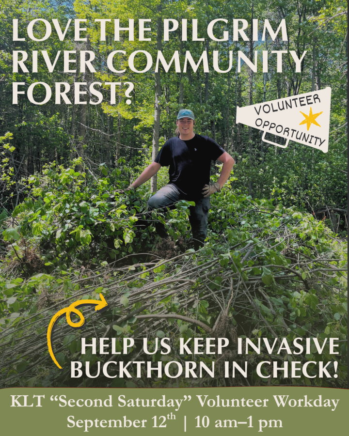 2026 volunteer workday - second saturday sept flyer